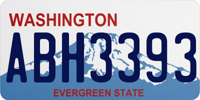 WA license plate ABH3393
