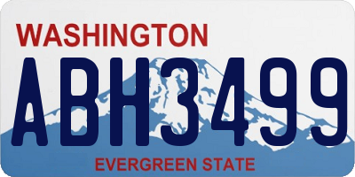 WA license plate ABH3499