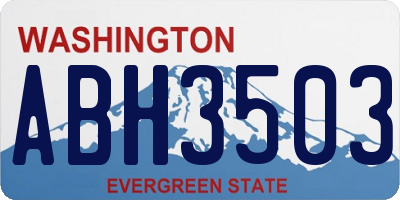 WA license plate ABH3503