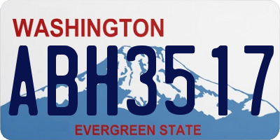 WA license plate ABH3517