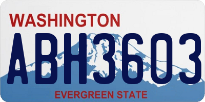 WA license plate ABH3603