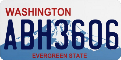 WA license plate ABH3606