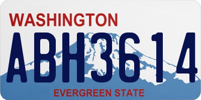 WA license plate ABH3614