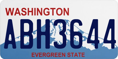 WA license plate ABH3644