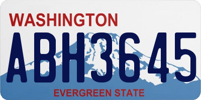 WA license plate ABH3645