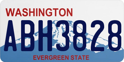 WA license plate ABH3828