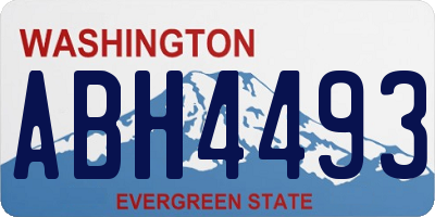 WA license plate ABH4493