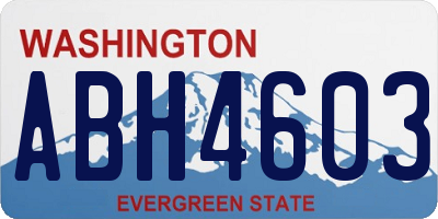 WA license plate ABH4603