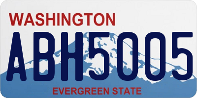 WA license plate ABH5005