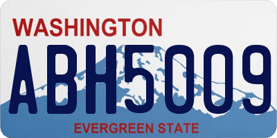 WA license plate ABH5009