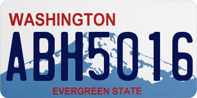 WA license plate ABH5016