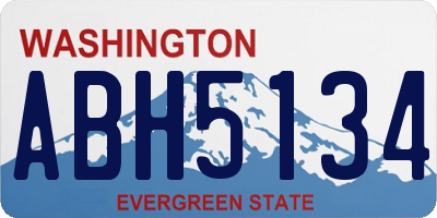 WA license plate ABH5134