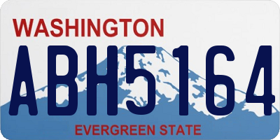 WA license plate ABH5164