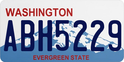 WA license plate ABH5229