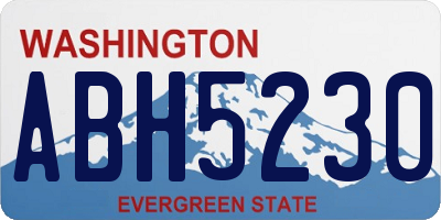 WA license plate ABH5230