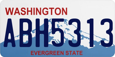 WA license plate ABH5313