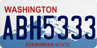 WA license plate ABH5333