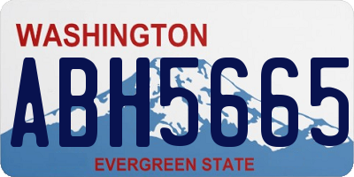 WA license plate ABH5665