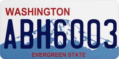WA license plate ABH6003