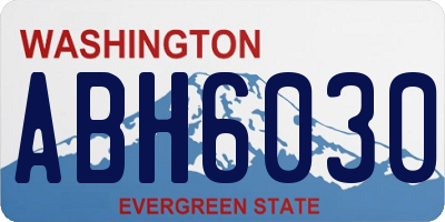 WA license plate ABH6030