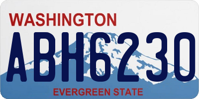 WA license plate ABH6230