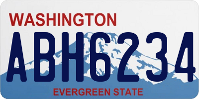 WA license plate ABH6234