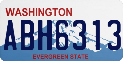 WA license plate ABH6313