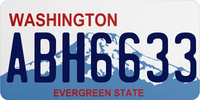 WA license plate ABH6633