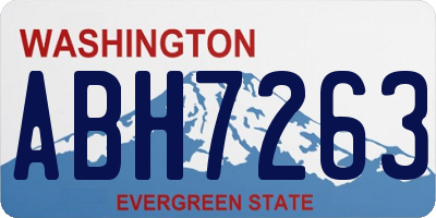 WA license plate ABH7263