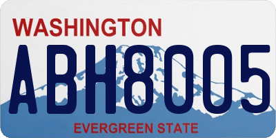 WA license plate ABH8005