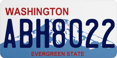WA license plate ABH8022
