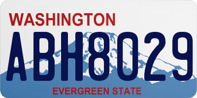 WA license plate ABH8029