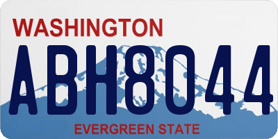 WA license plate ABH8044