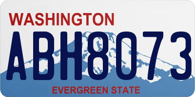 WA license plate ABH8073