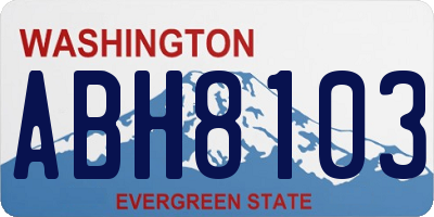 WA license plate ABH8103