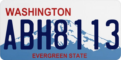 WA license plate ABH8113