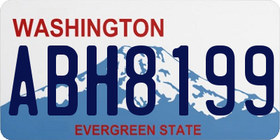 WA license plate ABH8199
