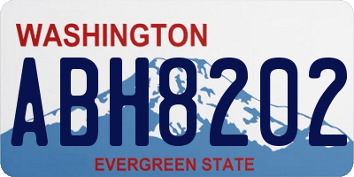 WA license plate ABH8202