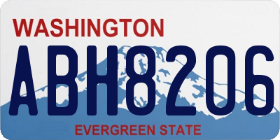 WA license plate ABH8206