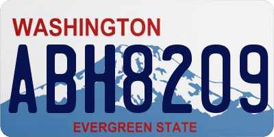 WA license plate ABH8209