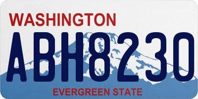 WA license plate ABH8230