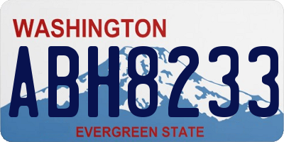 WA license plate ABH8233