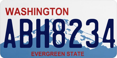 WA license plate ABH8234