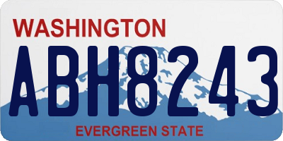 WA license plate ABH8243