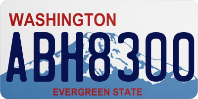 WA license plate ABH8300