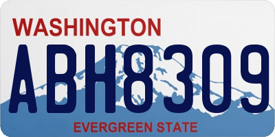 WA license plate ABH8309