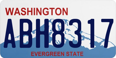 WA license plate ABH8317