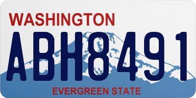 WA license plate ABH8491