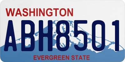 WA license plate ABH8501