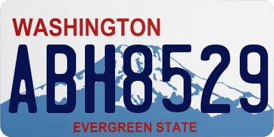 WA license plate ABH8529